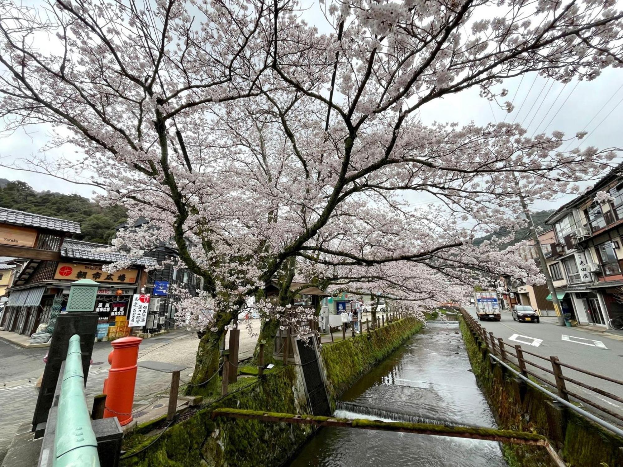 Ryokan Yadokari - Vacation Stay 28940V Toyooka  Esterno foto